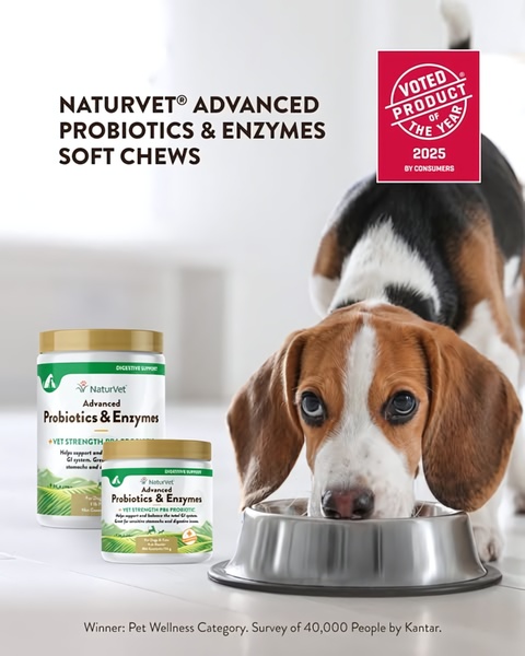 This creative features a close-up of a dog eating, paired with a prominent award badge to establish brand credibility for pet digestive supplements.